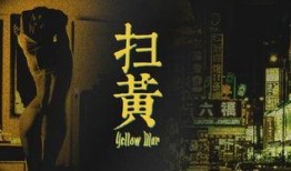 电影《扫黄》在线观看,正义与黑暗的较量